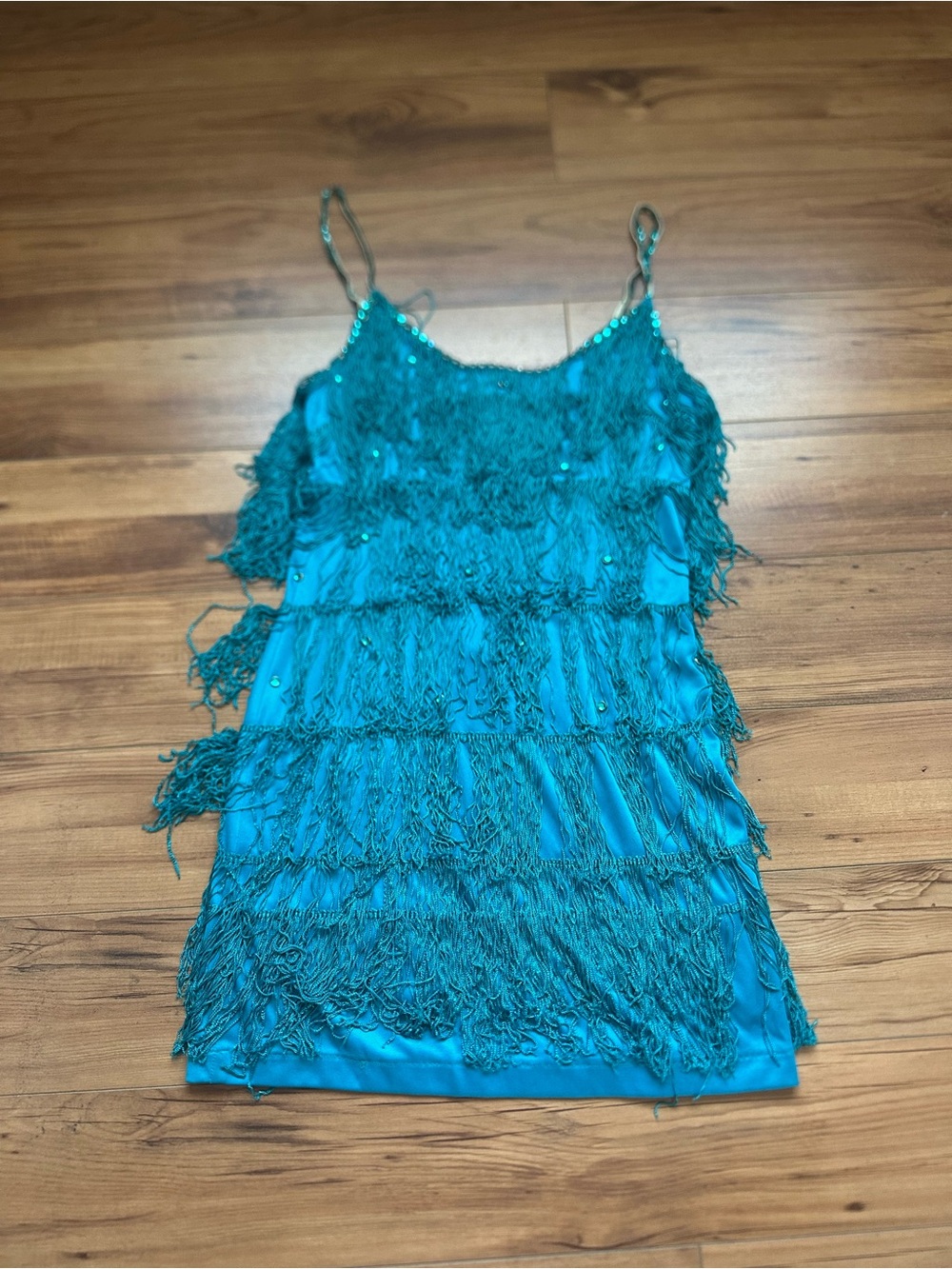 Teal Fringe 1920’s Flapper Dress Costume with accessories